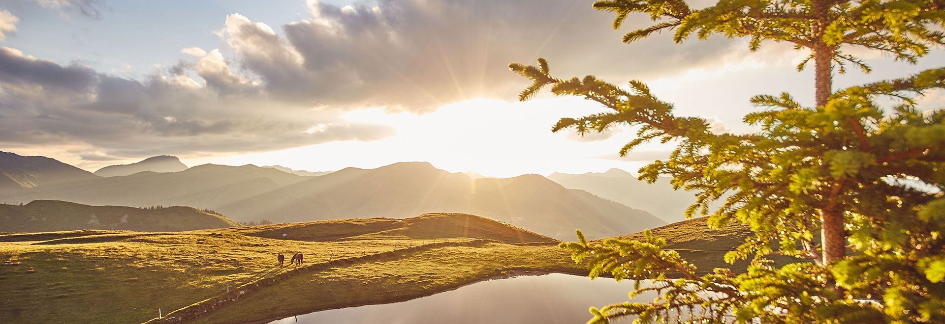 Mountain panorama with lake in Saalbach Hinterglemm