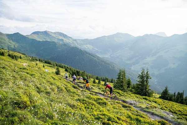 Panorama picture mountain biking Saalbach Hinterglemm