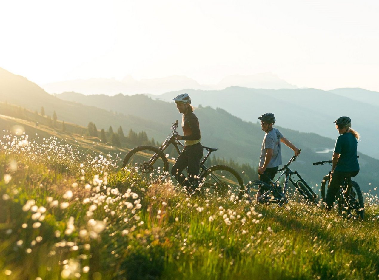 Biker in der blühenden Berglandschaft von Saalbach Hinterglemm