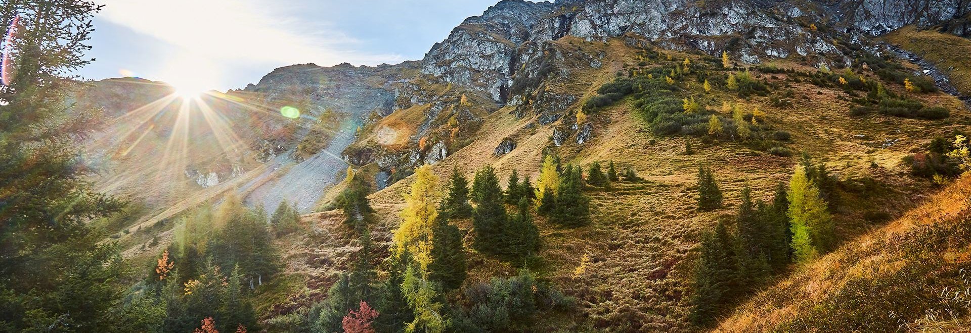 Herbstliche Landschaft mit Berg in Saalbach Hinterglemm
