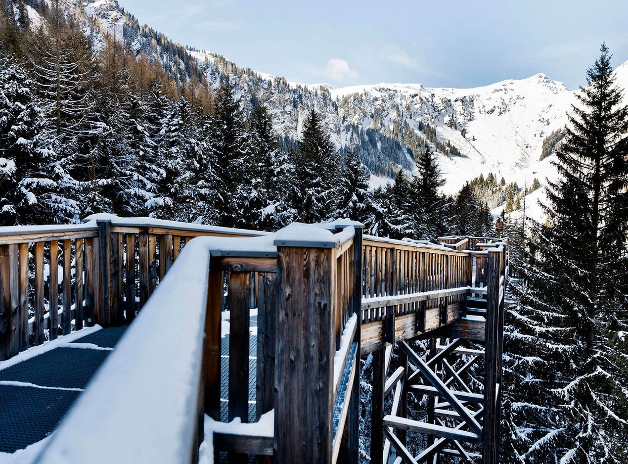 Baumzipfelweg im Winter Baumzipfelweg im Winter