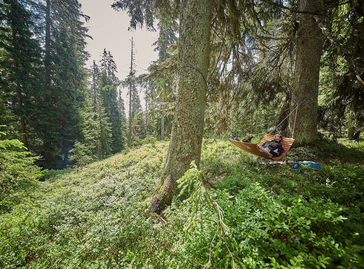Waldwellness Saalbach Hinterglemm Waldwellness Saalbach Hinterglemm