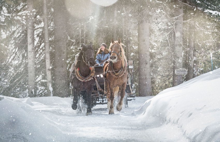 Sleigh ride through the forest 