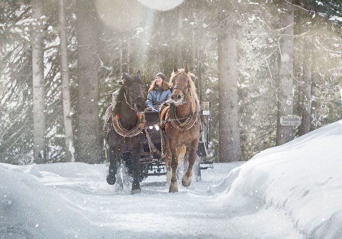 Sleigh ride through the forest Sleigh ride through the forest