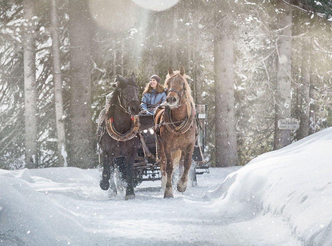 Sleigh ride through the forest  Sleigh ride through the forest