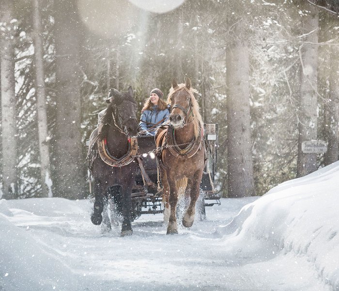 Sleigh ride through the forest Sleigh ride through the forest