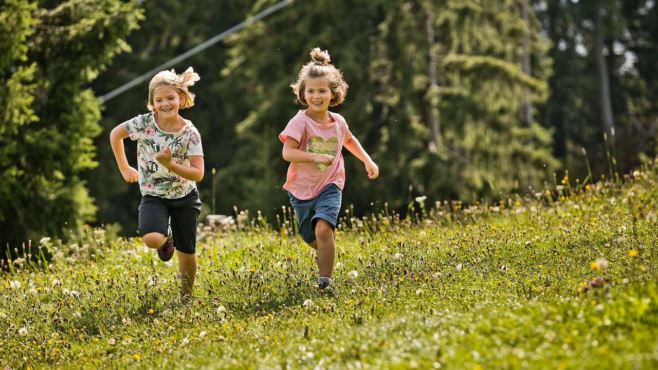 Kinder auf Blumenwiese am Wald Kinder auf Blumenwiese am Wald