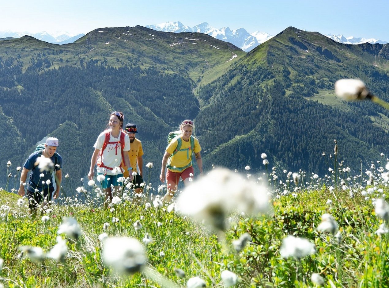 4 Menschen beim Wandern auf blühenden Wiesen in Saalbach Hinterglemm