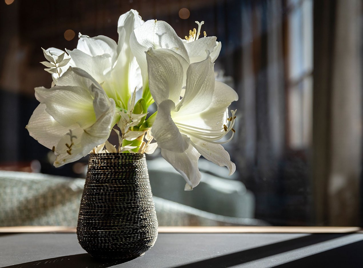 Flowers in a vase Flowers in a vase