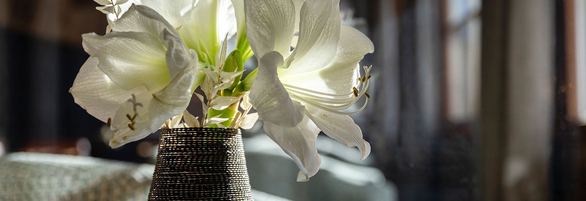 Flowers in a vase