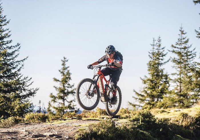 Freerider Saalbach Hinterglemm