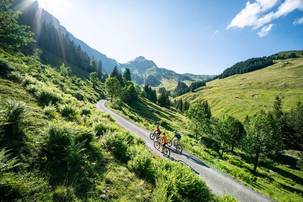 Moutainbiker vor Bergpanoram