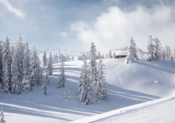 Verschneite Landschaft in Saalbach Hinterglemm