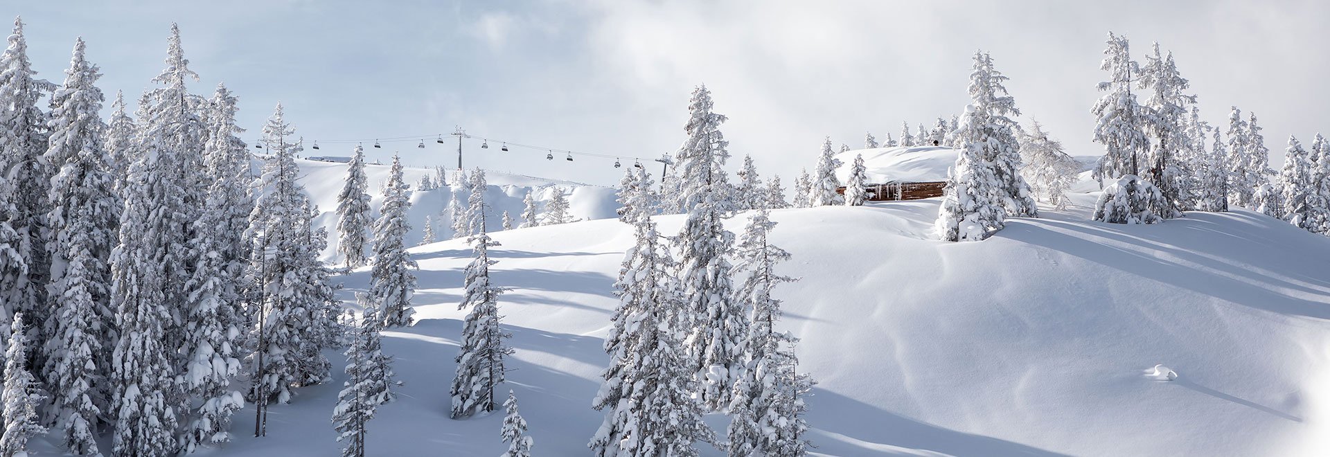 Verschneite Landschaft in Saalbach Hinterglemm